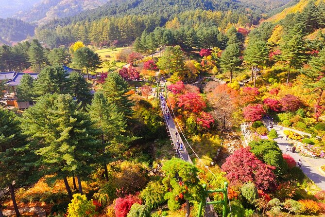 Seoul Vicinity 5 in 1: Nami Island, Garden of Morning Calm & More - Key Points