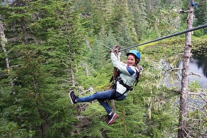 Seward Alaska Small-Group Ziplining Experience in Nature - Key Points