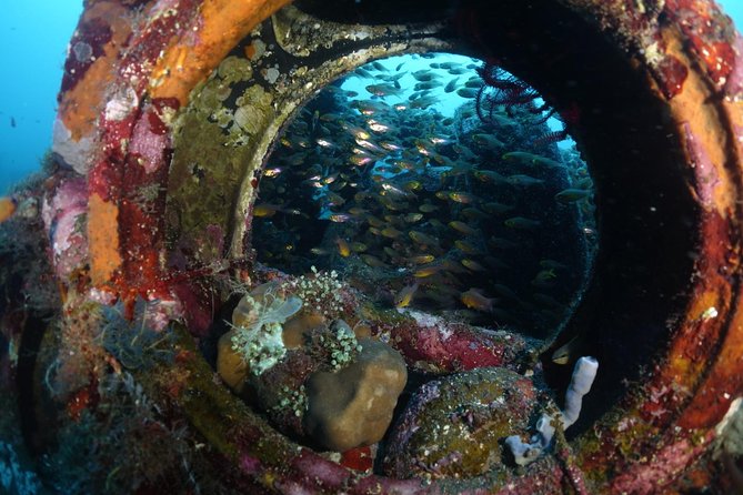 Shipwreck Diving in Tulamben - Key Points