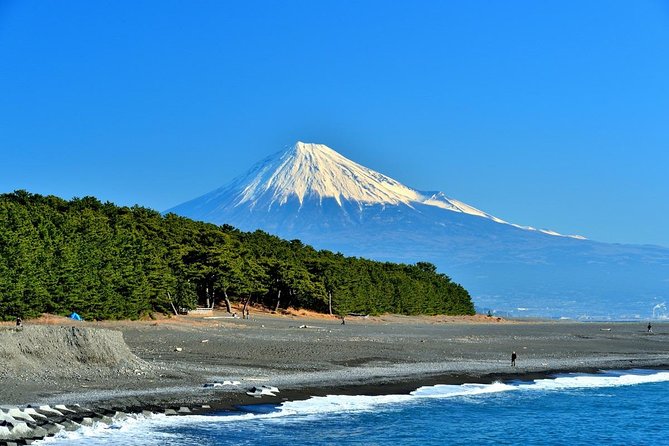 Shizuoka/Shimizu Mt Fuji View 6 Hr Private Tour: Guide Only - Key Points