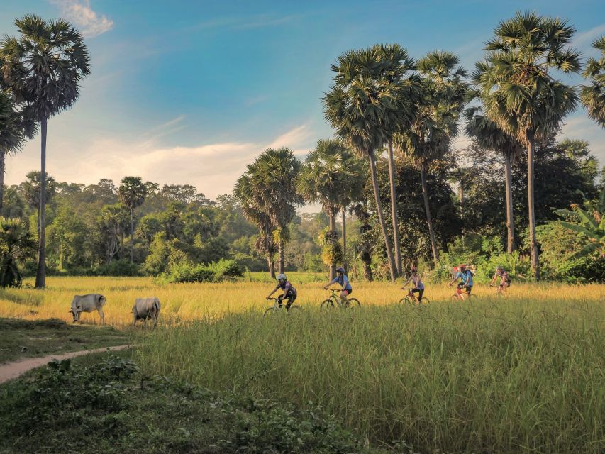 Siem Reap: Countryside Bike Tour With Guide and Local Snacks - Key Points
