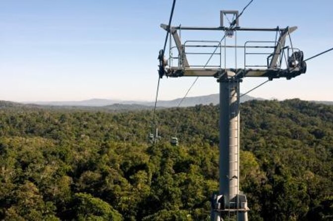 Skyrail Rainforest Cableway Day Trip From Cairns - Key Points
