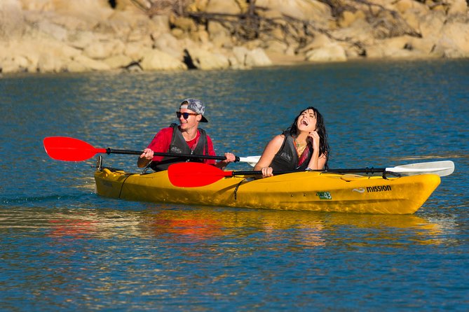 Small-Group 3-Hour Kayak Tour From Marahau, Abel Tasman Park - Key Points