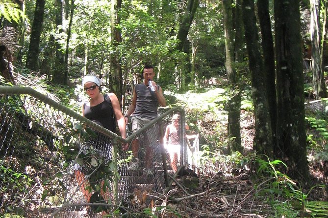 Small-Group Blue Mountains Day Tour With Wildlife Park Admission - Key Points