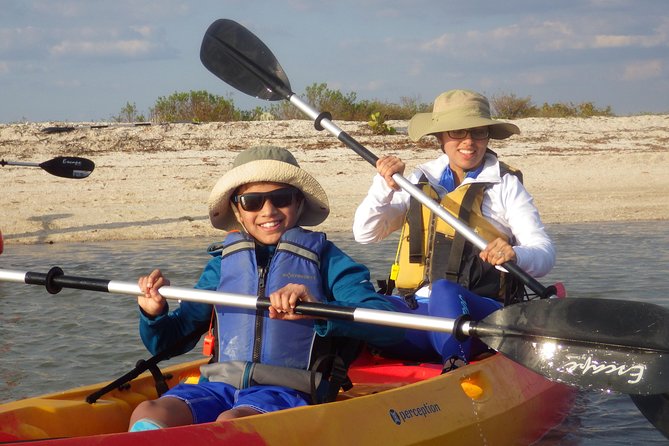 Small Group Boat, Kayak and Walking Guided Eco Tour in Everglades National Park - Tour Highlights