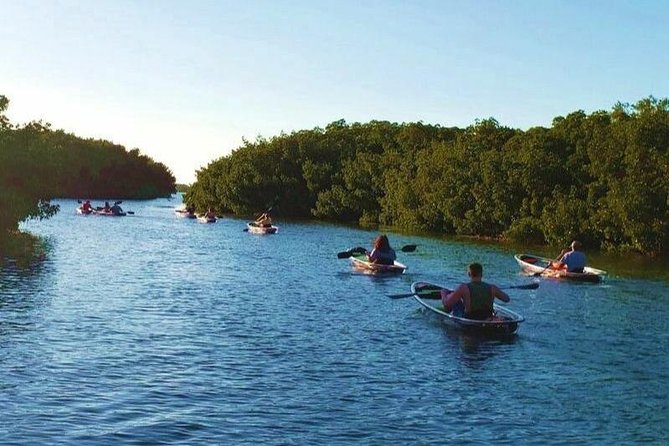 Small-Group Clear Kayak Tour in Shell Key - Key Points