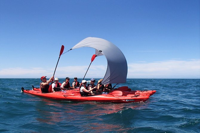 Small-Group Day Tour: Kayak and Hike Abel Tasman National Park  - Marahau - Key Points