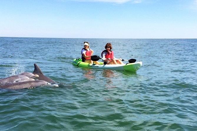 Small Group Dolphin Kayak Eco-Tour - Key Points