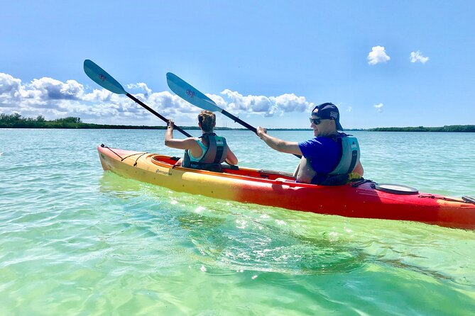 Small Group Kayak Tour of the Shell Key Preserve - Key Points