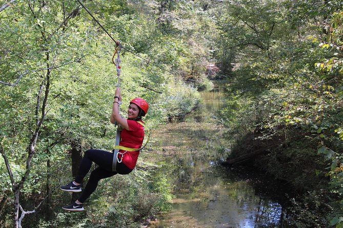 Small-Group Zipline Tour in Hot Springs - Key Points