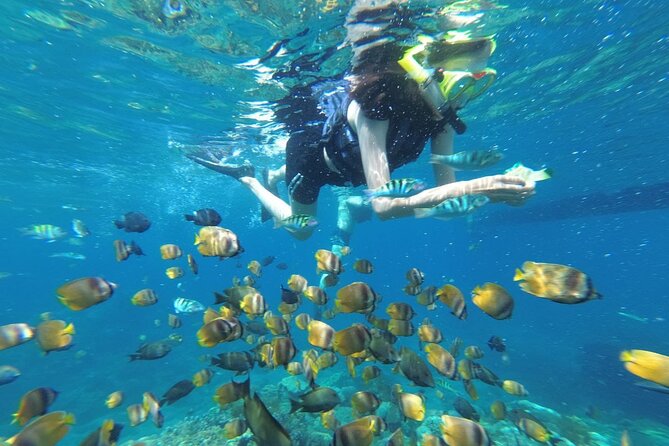 Snorkeling And West Penida Beach Tour All Inclusive - Key Points