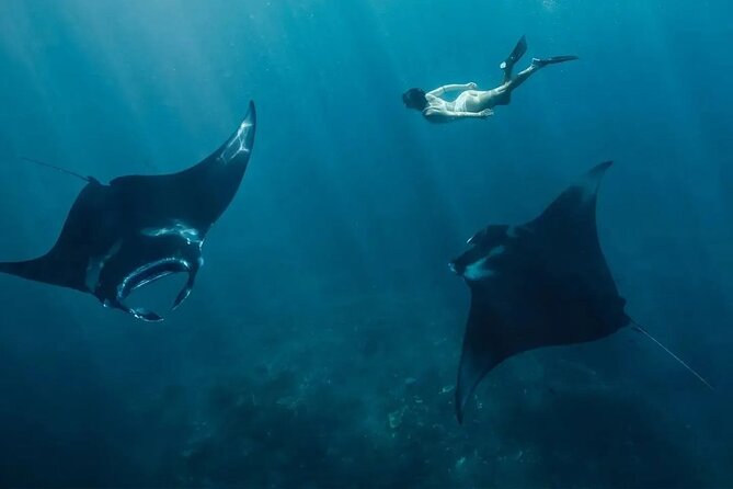 Snorkeling Manta Rays and Land Tour Nusa Penida All-Included - Key Points