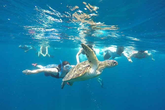 Snorkeling Tour In Gili Trawangan, Gili Meno And Gili Air Pick Up From Bali - Key Points