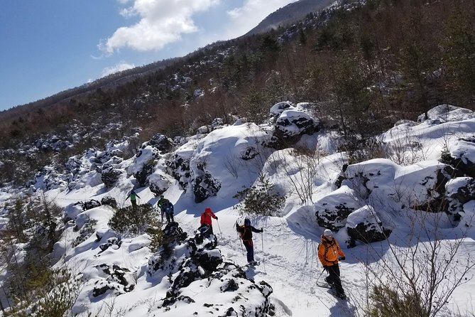-Snow Mountain Hiking at the Foot of Asama- Karuizawa Snowshoe Tour - Key Points