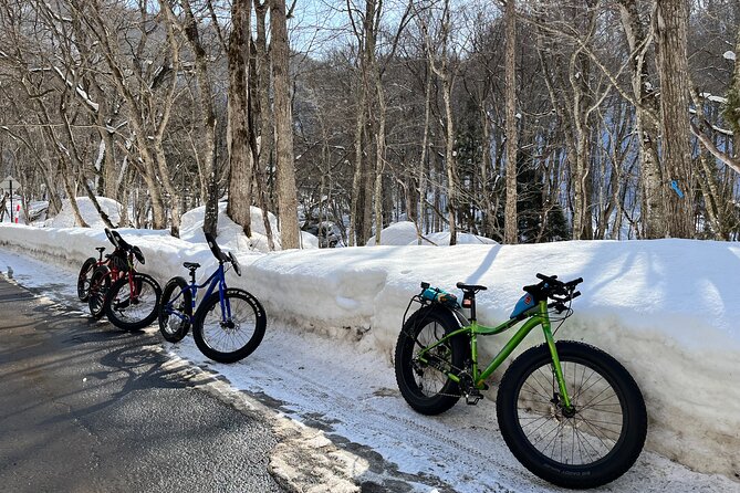 Snowbike Tour in Tazawako - Key Points