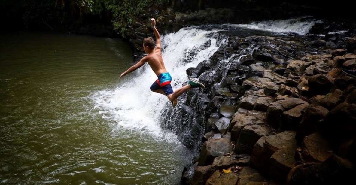South Maui: Waterfall Tour W/ Kayak, Snorkel, and Hike - Key Points