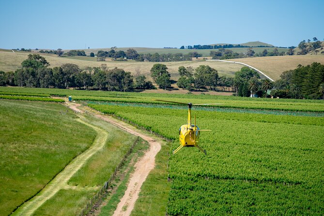 Southern Barossa: 10-Minute Helicopter Flight - Key Points