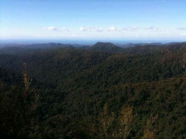 Springbrook National Park Shared Waterfalls Tour  - Surfers Paradise - Key Points