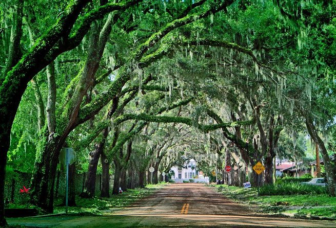 St. Augustine Sightseeing Boat Tour  - St Augustine - Key Points