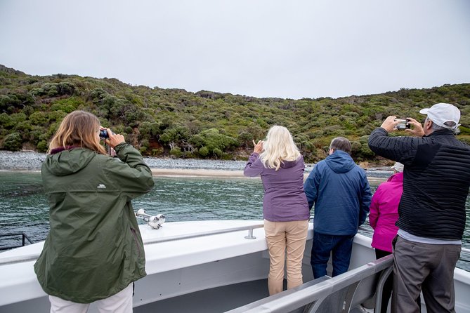 Stewart Island Wild Kiwi Encounter - Key Points