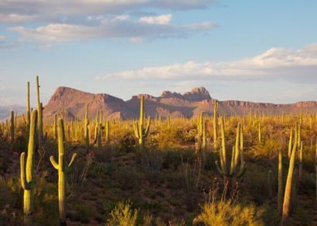 Stunning Sunrise or Sunset Guided Hiking Adventure in the Sonoran Desert - Key Points