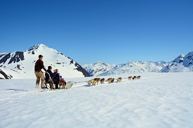 Summer Glacier Dogsledding Tour From Girdwood - Key Points