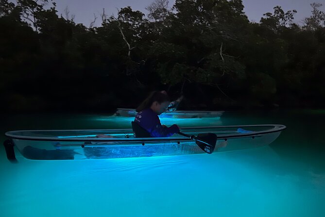 Sunset and Glow Clear Kayak Tour in North Naples - Key Points
