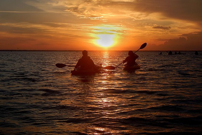 Sunset Bioluminescence Tour - Key Points