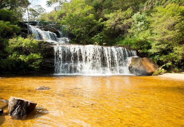 Sunset Blue Mountains Wilderness & Wildlife Tour From Sydney - Key Points