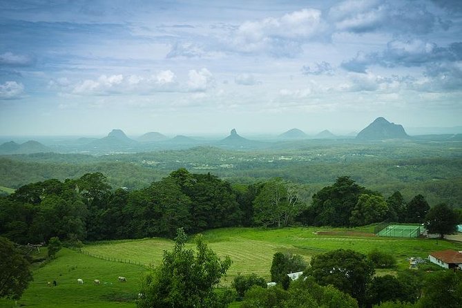 Sunshine Coast Hinterland and Noosa Day Trip From Brisbane Incl Eumundi Markets - Key Points