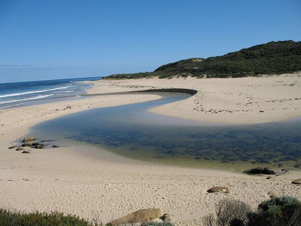 Surf Lesson at Margaret River From Australia - Key Points