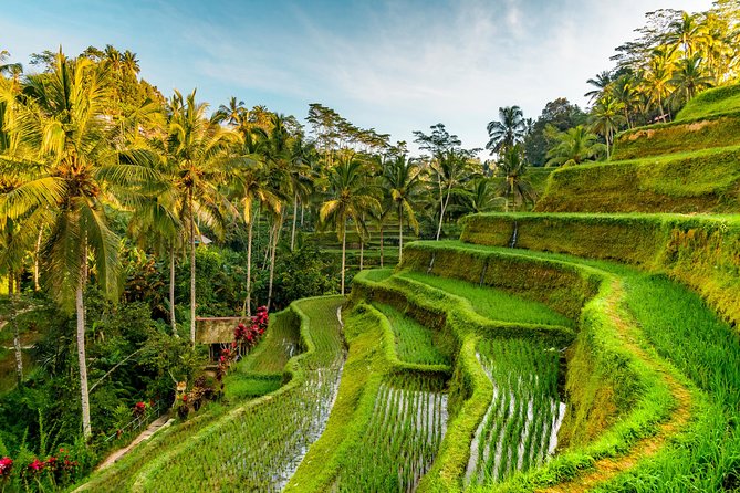 Tanah Lot Tour With Ubud Monkey Forest, Rice Terraces, and Waterfalls - Tour Overview and Itinerary