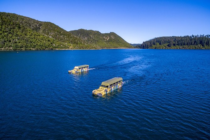 Tarawera and Rotorua Lakes Eco Tour by Boat With Guide - Key Points