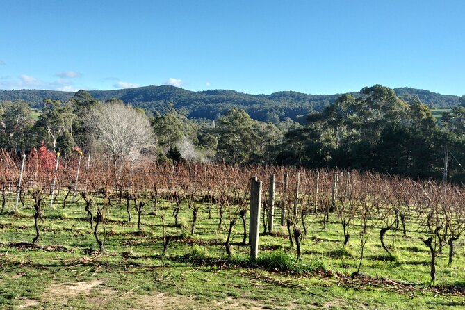 Tasmanian Wine & Food Trail - Key Points