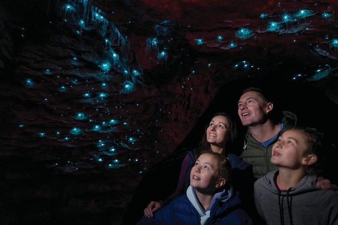 Te Anau Glow Worm Caves Tour - Key Points