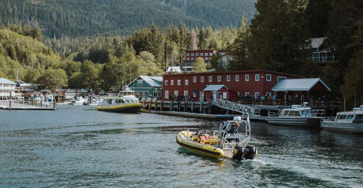 Telegraph Cove: 3-Hour Whale Watching Tour in a Zodiac Boat - Key Points