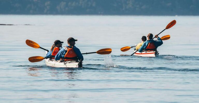 Telegraph Cove: Day Trip Kayaking Tour