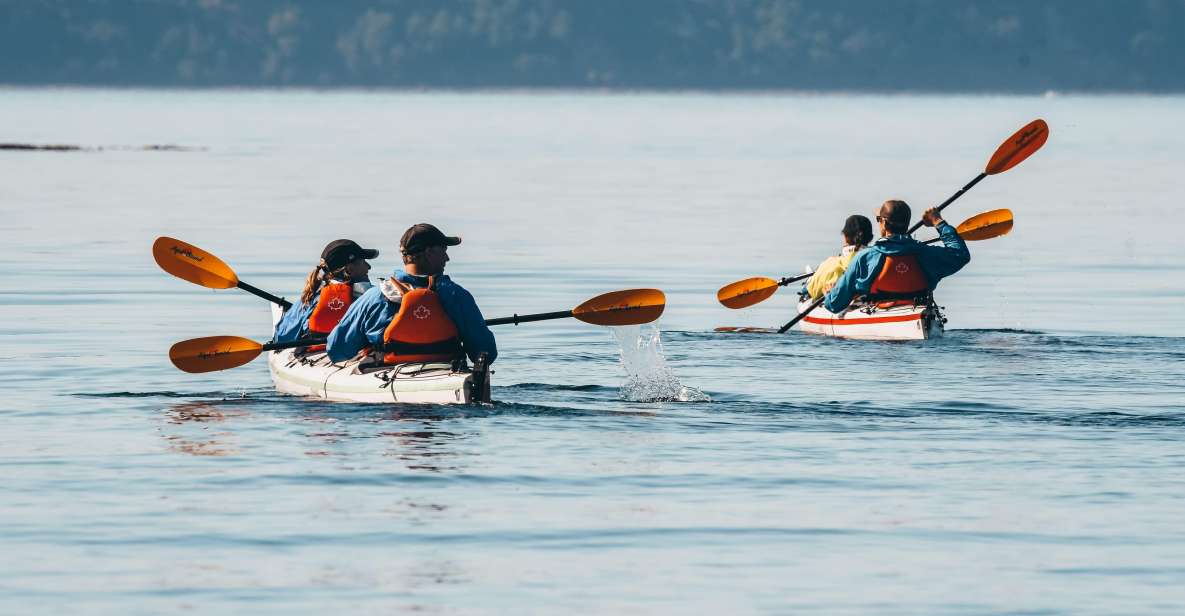 Telegraph Cove: Day Trip Kayaking Tour - Activity Details