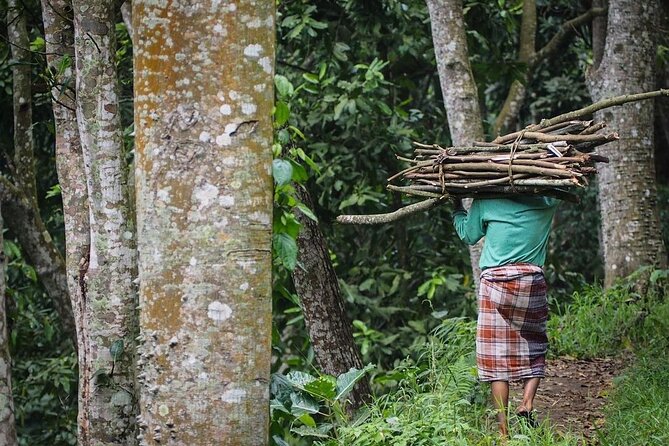 Tetebatu Cycling Tour Rice Terraces, Waterfall, And Monkey Forest - Key Points