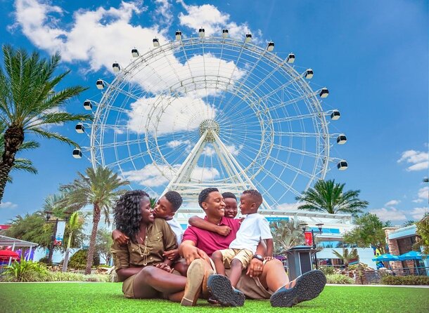 The Wheel at ICON Park - Key Points