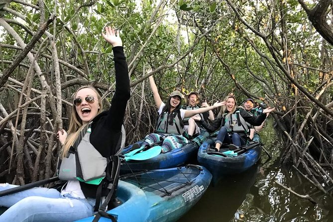 Thousand Island Mangrove Tunnel, Manatee & Dolphin Kayak Tour W/Cocoa Kayaking - Key Points