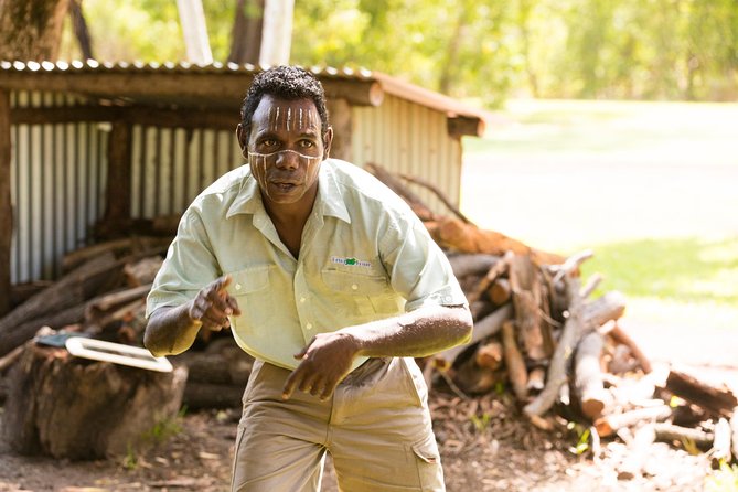 Tiwi Islands Cultural Experience From Darwin Including Ferry - Key Points