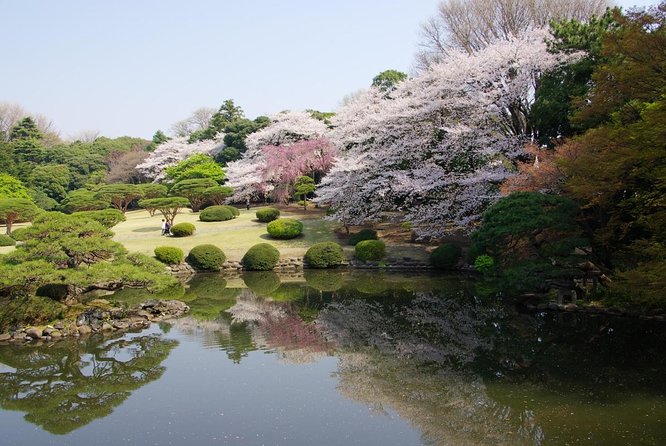 Tokyo Must See Top 10 Hidden Gems In One Day - Key Points