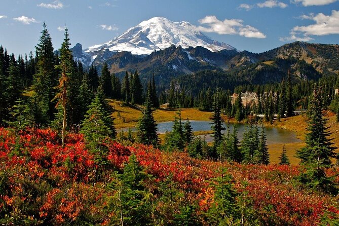 Touring and Hiking in Mt. Rainier National Park - Key Points