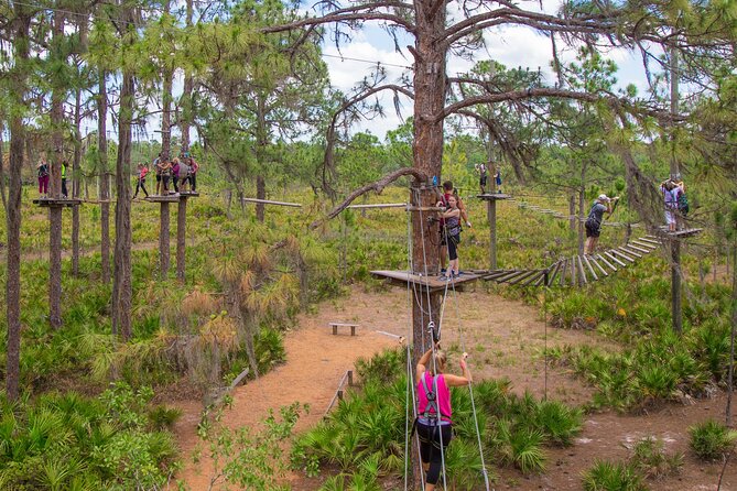 TreeUmph Adventure Course - Key Points