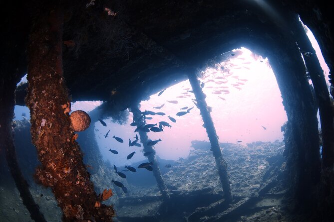 Try Diving in Tulamben - Shipwreck - Key Points