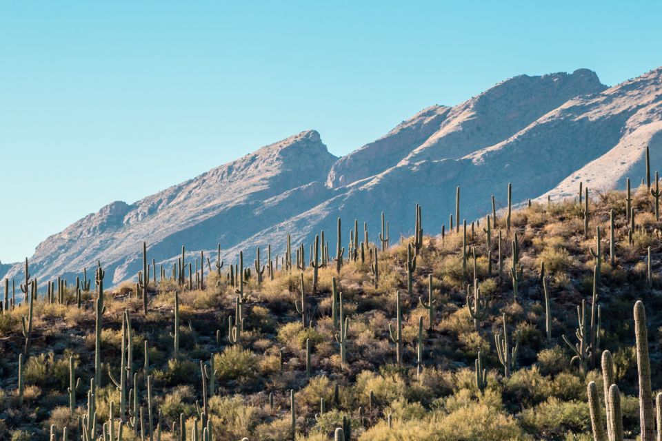 Tucson: Mt Lemmon & Saguaro NP Self-Guided Bundle Tour - Key Points