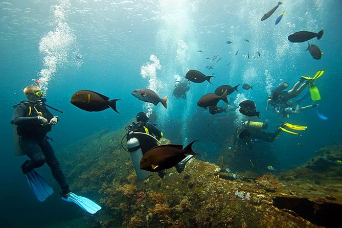 Tulamben Diving Tour Shipwreck USS Bali - Tour Overview