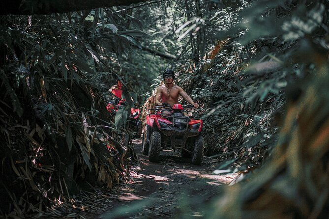 Ubud Jungle and Tunnel ATV Adventure - Adventure Highlights