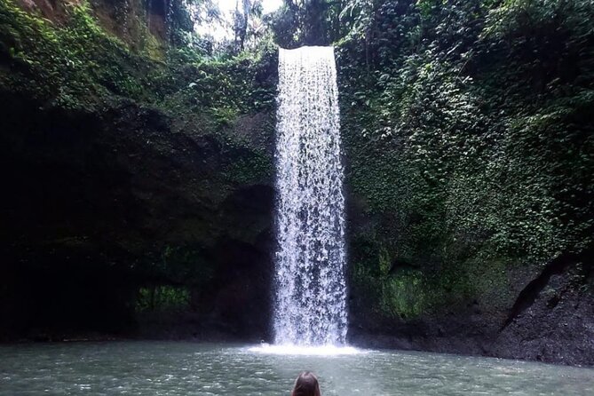 Ubud Scenic Waterfalls, Rice Terrace & Jungle Swing Tour - Key Points